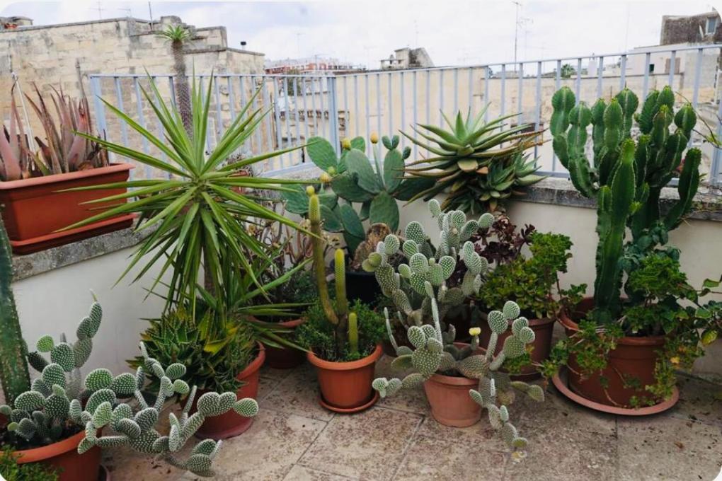 Fior Di Loto Lecce Exterior foto